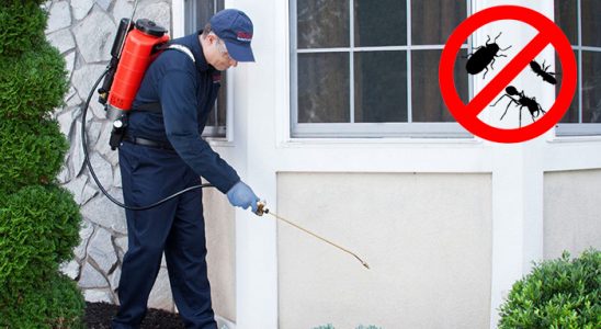 Eğil Böcek İlaçlama böcek ilaçlama ve haşere kontrolü — ilaclama-tr.com